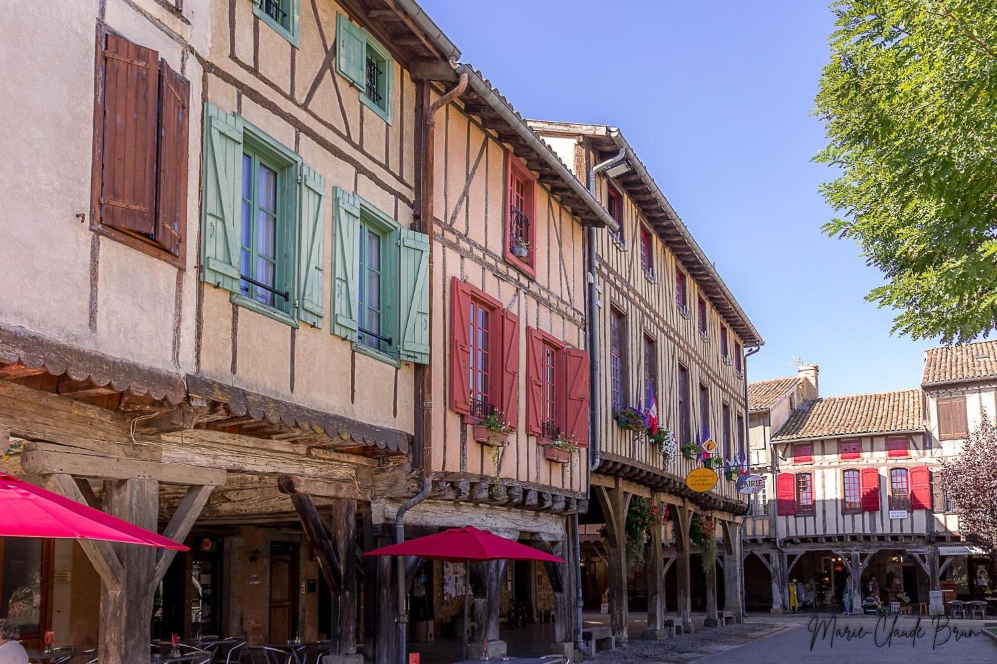 Manoir Et Appartements Avec Piscine Au Domaine De Bize Mirepoix Mirepoix  Exterior foto